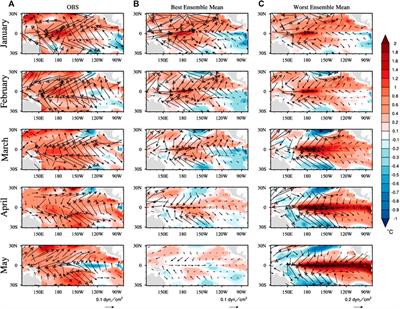 Key Processes on Triggering the Moderate 2020/21 La Niña Event as Depicted by the Clustering Approach